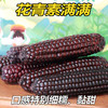 【西双版纳拇指小玉米】拇指大小、清香软糯、皮薄纤维、健康美味又营养 商品缩略图3