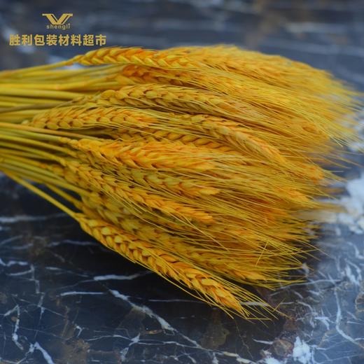 花篮大麦 商品图1