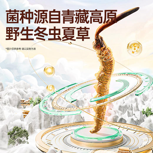 【甄享专属】橘金款|新款发酵冬虫夏草菌粉西湖十景文化创意送礼佳品1g*15袋|补肺益肾 商品图1