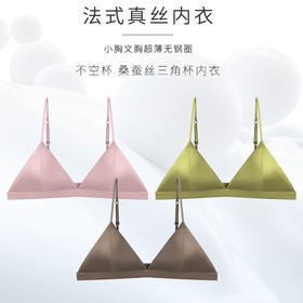 TG-TG02S201 法式真丝内衣 细肩带光面桑蚕丝无钢圈内衣三角杯透气