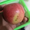 有机早熟苹果瑕疵果（不售后，介意慎拍） | 合作生产 *Organic precocious apple | Coproduction 商品缩略图3