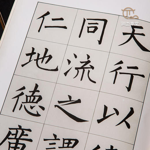 【绝版好书】溥儒日月潭教師會館碑 商品图7