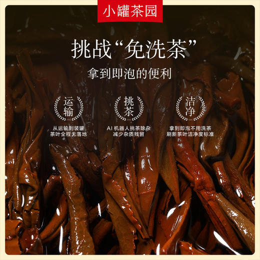 【新品】小罐茶 滇红茶 小罐茶园单罐装 5A中国茶 125g【现货】 商品图3