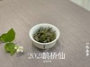 茶友们心心念的2021一级白牡丹《鹊桥仙》来了（1斤收藏装） 商品缩略图5