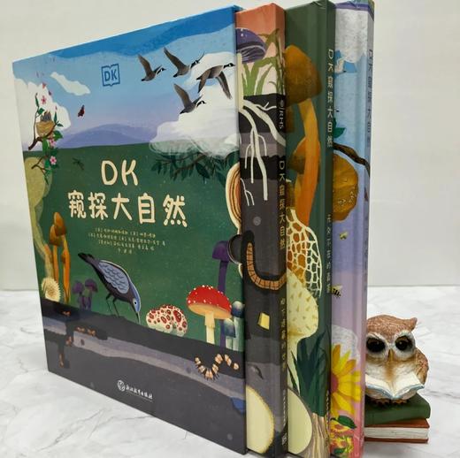 《DK窥探大自然》全3册 一套以空间视角塑造5—13岁孩子自然科学认知体系的答案之书！ 商品图8