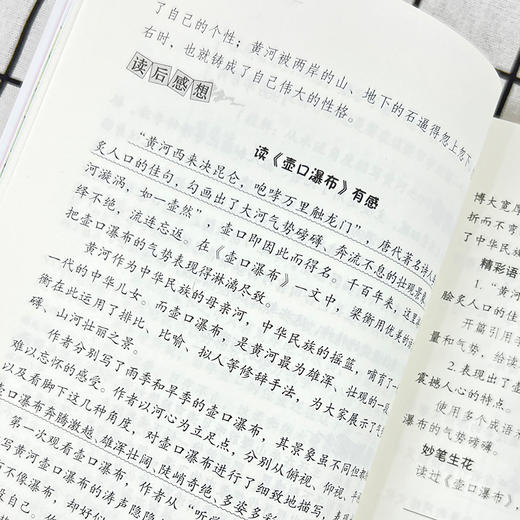 爱阅读·课本里的作家 母亲石 八年级  商品图4