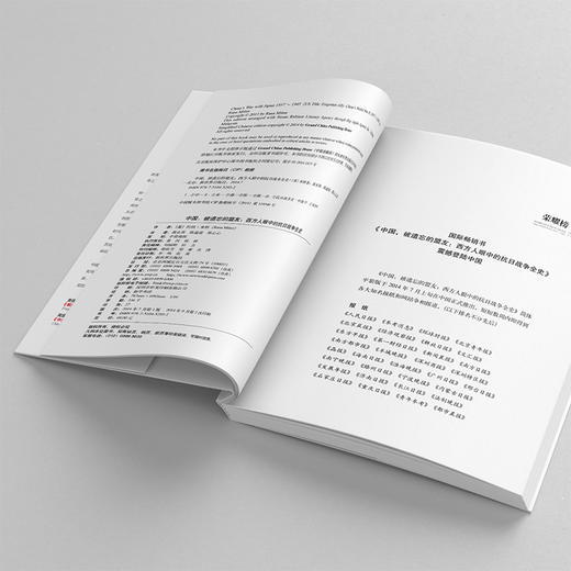 中国，被遗忘的盟友 商品图2