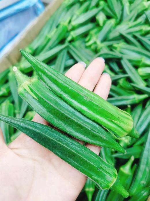 秋葵一斤（拼团） 商品图0