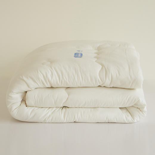 【亲肤大豆被】亲肤大豆被纯色冬被双人被芯秋冬加厚被子 商品图14