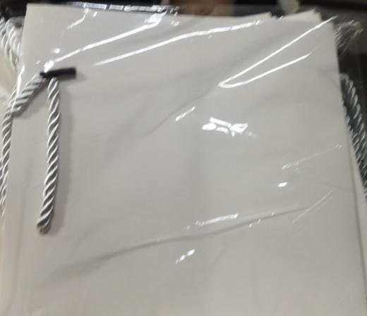 方形白卡纸袋 商品图0
