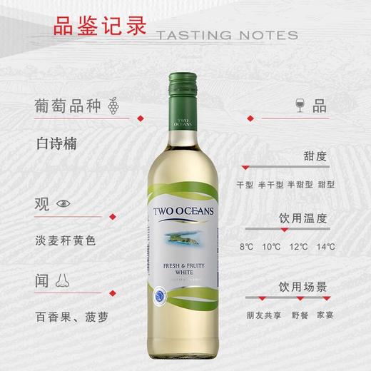 南非双洋柔和果香干红葡萄酒/清爽果香白葡萄酒 果味突出易于入口 010110/010111 商品图1