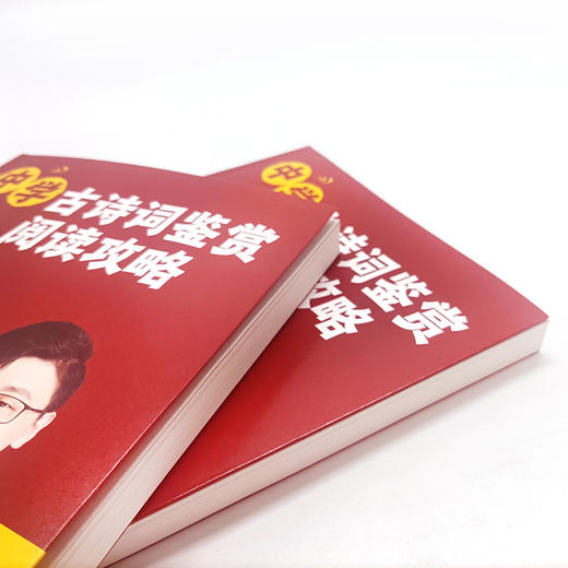 中学古诗词鉴赏阅读攻略 商品图10