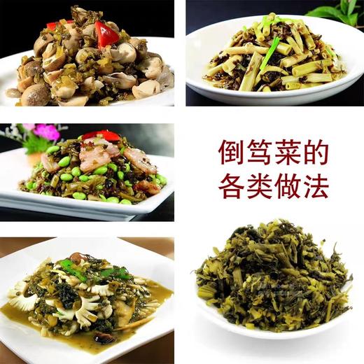 倒笃菜500克 商品图2