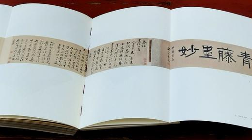 极稀见！！《芳菲无尽：南京市第一次全国可移动文物普查精品图录》，32开，平装，邵磊主编，凤凰出版社2023年5月一版一印，380页，定价360，售价198元。 商品图14