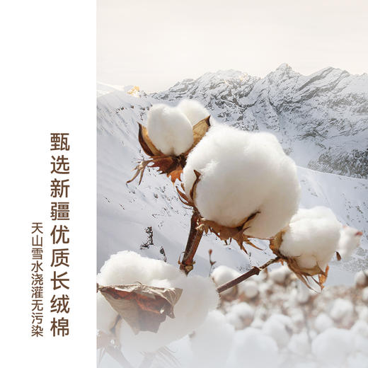 HOYO厚祐 芦荟抗菌毛巾牛皮纸单条装 商品图6