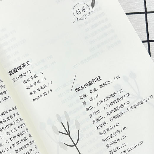 爱阅读·课本里的作家 母亲石 八年级  商品图3