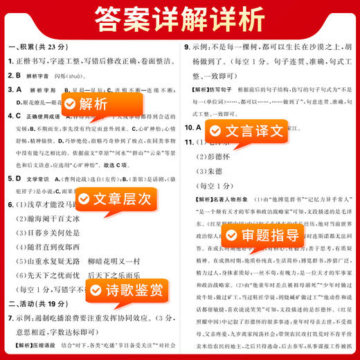 天利38套 2024新疆中考试题精选 商品图11