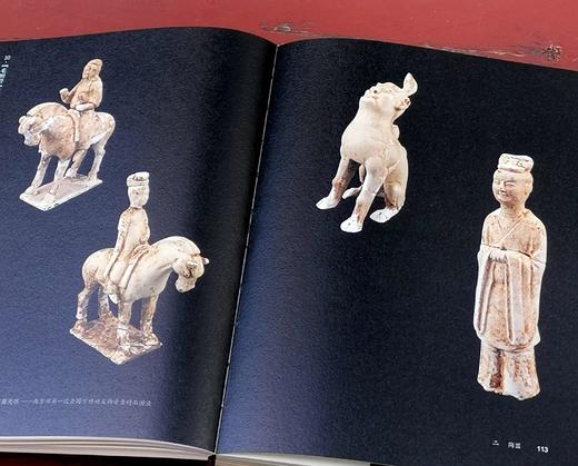 极稀见！！《芳菲无尽：南京市第一次全国可移动文物普查精品图录》，32开，平装，邵磊主编，凤凰出版社2023年5月一版一印，380页，定价360，售价198元。 商品图4