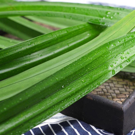 【产地直供！现摘现发香兰叶】精挑细选，超新鲜！香兰叶可食用新鲜斑斓叶蔬菜蛋糕皆可，可做椰子西米糕、千层糕、斑斓椰丝卷蛋糕等-ytlb健康 商品图2