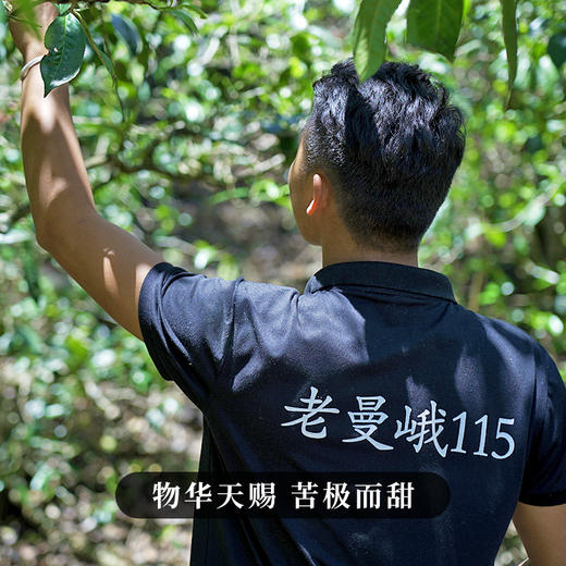 【老曼峨】2023年头春头采班章茶区老曼峨纯料苦过之后刻骨铭心的甜357克/饼 商品图1