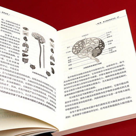教育变革 利用脑科学改善教学与校园文化 大夏书系 脑科学知识 教育教学研究 正版 华东师范大学出版社 商品图12