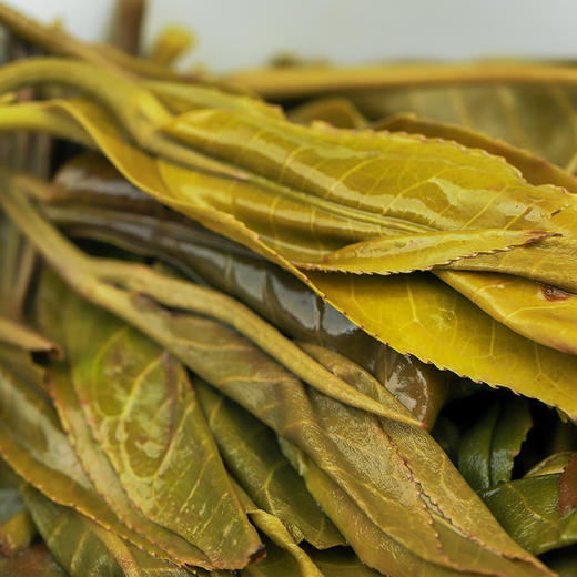 【老曼峨】2023年头春头采班章茶区老曼峨纯料苦过之后刻骨铭心的甜357克/饼 商品图6