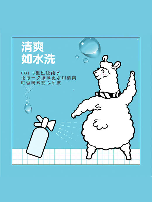 【12元会员福利】舒洁湿厕纸家庭装40抽    商品图4