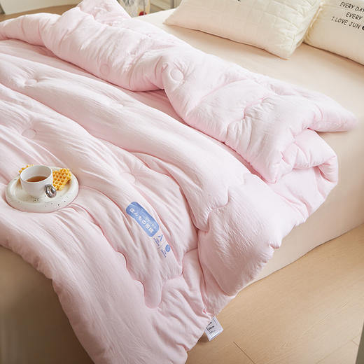【亲肤大豆被】亲肤大豆被纯色冬被双人被芯秋冬加厚被子 商品图10
