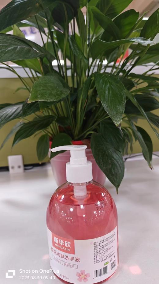 新华欣洗手液（双瓶） 商品图1