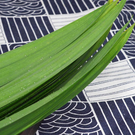 【产地直供！现摘现发香兰叶】精挑细选，超新鲜！香兰叶可食用新鲜斑斓叶蔬菜蛋糕皆可，可做椰子西米糕、千层糕、斑斓椰丝卷蛋糕等-ytlb健康 商品图1
