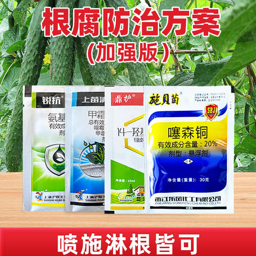 新根腐防治方案作物死棵烂苗根腐病软腐病姜瘟病角斑病专用杀菌剂 商品图2