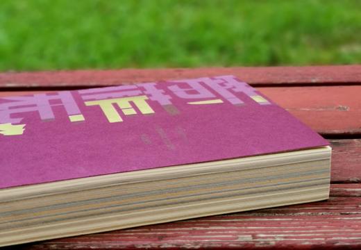 极稀见！！《芳菲无尽：南京市第一次全国可移动文物普查精品图录》，32开，平装，邵磊主编，凤凰出版社2023年5月一版一印，380页，定价360，售价198元。 商品图2