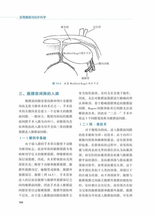 实用腹股沟疝外科学 第3版 李亮 谢肖俊 主编 治疗临床指南解剖结构胚胎学理论女性儿童青少老年 世界图书出版公司9787523204139 商品图2