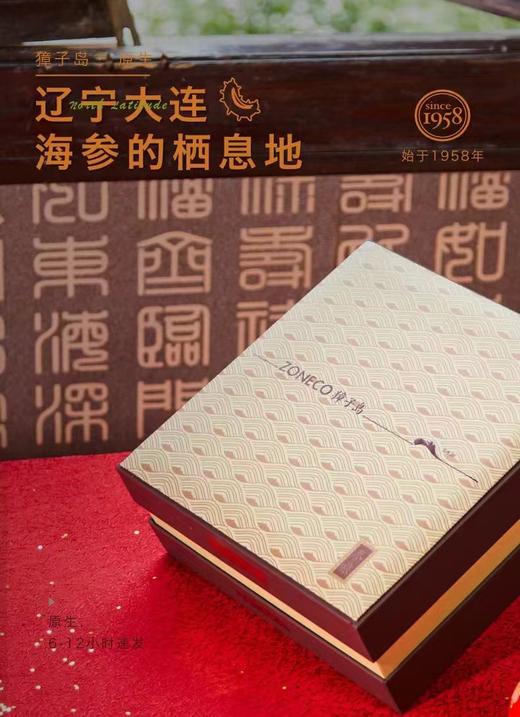 獐子岛 参旅速发海参礼盒40克（20支装） 商品图4