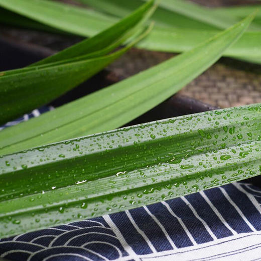 【产地直供！现摘现发香兰叶】精挑细选，超新鲜！香兰叶可食用新鲜斑斓叶蔬菜蛋糕皆可，可做椰子西米糕、千层糕、斑斓椰丝卷蛋糕等-ytlb健康 商品图0