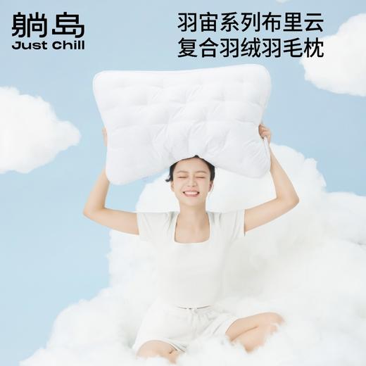 躺岛布里云羽绒枕头鹅绒枕头 商品图4