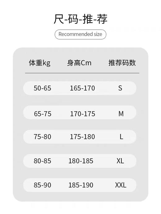 美国P&T 男士高尔夫透气速干运动长袖POLO衫 PT-3007 商品图6