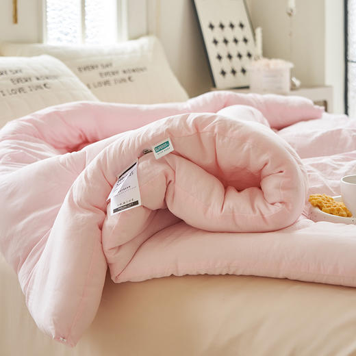 【亲肤大豆被】亲肤大豆被纯色冬被双人被芯秋冬加厚被子 商品图12