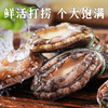 船歌鲜食捞汁小鲍鱼170g*5盒 商品缩略图2
