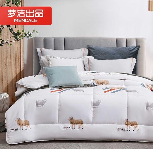 梦洁｜梦洁家纺暖馨羊毛厚被 商品图0