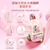 立白大师香氛衣物柔顺剂2kg 商品缩略图3