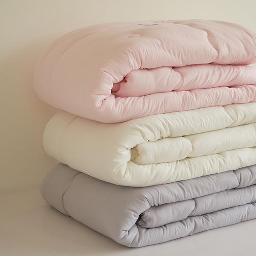 【亲肤大豆被】亲肤大豆被纯色冬被双人被芯秋冬加厚被子 商品图13