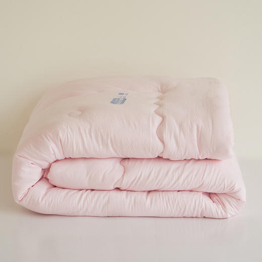 【亲肤大豆被】亲肤大豆被纯色冬被双人被芯秋冬加厚被子 商品图2
