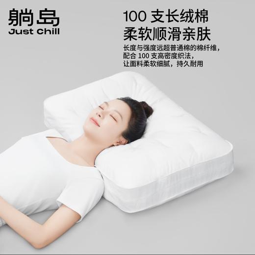 躺岛布里云羽绒枕头鹅绒枕头 商品图3