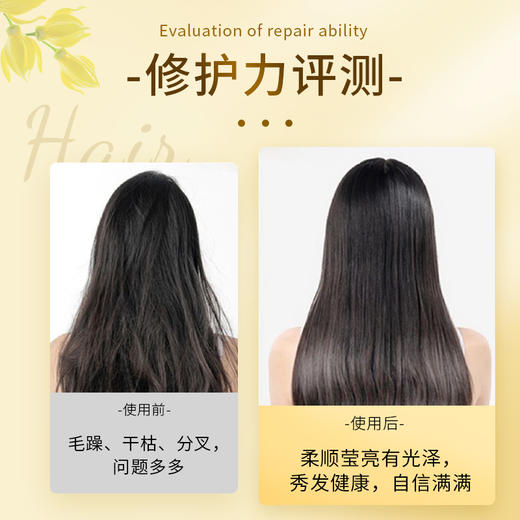 舒蕾 奇焕精油修护发膜260ml 商品图3