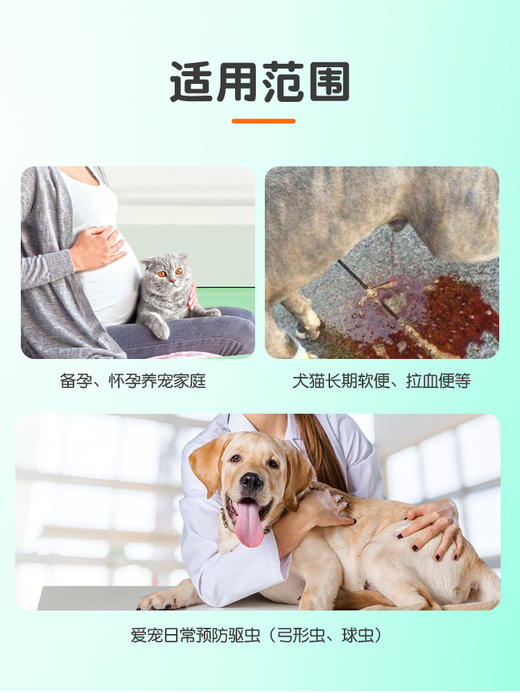 【临期】体内驱虫 磺胺间甲氧嘧啶（25年12月11日到期）（25年）片  弓形虫 球虫驱虫 商品图2