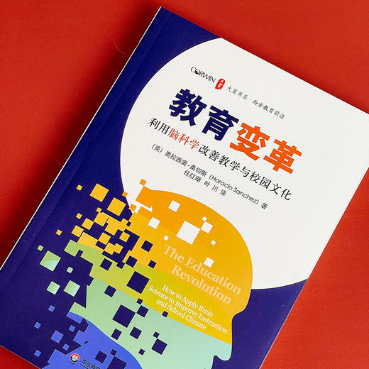 教育变革 利用脑科学改善教学与校园文化 大夏书系 脑科学知识 教育教学研究 正版 华东师范大学出版社 商品图4