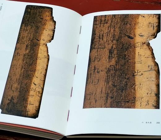 极稀见！！《芳菲无尽：南京市第一次全国可移动文物普查精品图录》，32开，平装，邵磊主编，凤凰出版社2023年5月一版一印，380页，定价360，售价198元。 商品图13