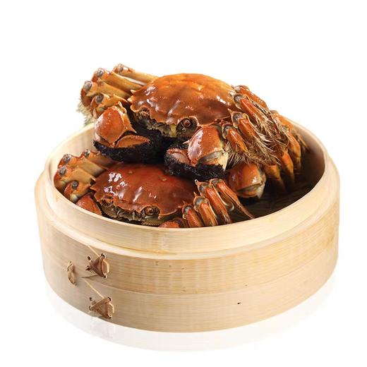 【品牌授权】【礼券】阳澄湖大闸蟹礼券提货卡 鲜活螃蟹礼盒中秋礼品卡 商品图3