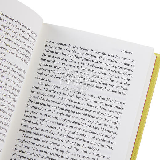 预售 【中商原版】企鹅小布纹经典系列夏季 伊迪丝 沃顿 夏天 Summer 英文原版 Edith Wharton 纯真年代 作者 商品图4